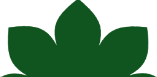 Decorative leaf crown